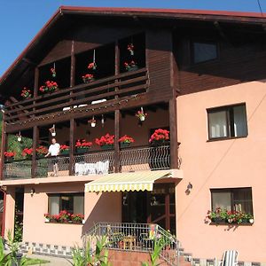 Hotel Pensiune Maria Rucăr Exterior photo