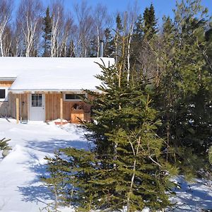 Vila The Sleeping Moose Birch Plain Exterior photo