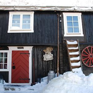 Apartmán Regnbuegarden Røros Exterior photo