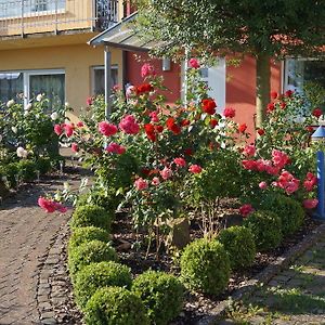 Apartmán Ferienhaus Schloss-Garten Kapellen-Drusweiler Exterior photo