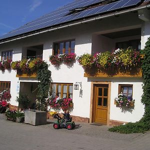 Vila Ferienhof Ring Schönthal Exterior photo