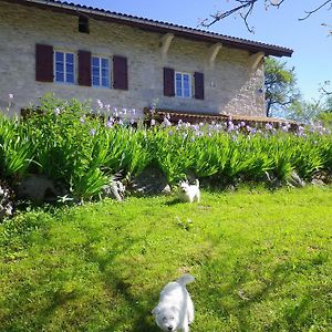 Bed and Breakfast Chambre D'Hotes La Haie Fleurie Chevillard Exterior photo