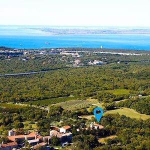 Vila Terra Del Carso San Pelagio Exterior photo