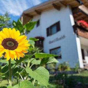 Hotel Haus Elisabeth Nova Ponente Exterior photo