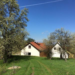 Vila Ferienhaus Hochbrand Rabenstein Exterior photo