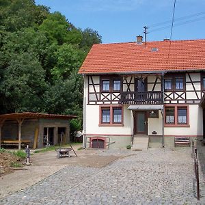 Vila Pferdehof Und Wanderreitstation Doersam Mörlenbach Exterior photo