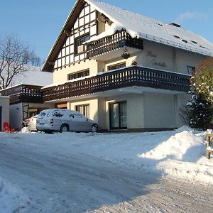 Apartmán Haus Cristallo Olsberg Exterior photo