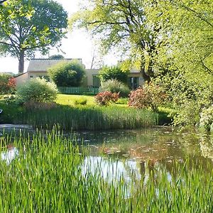 Vila Au Jardin D'Eau Missillac Exterior photo