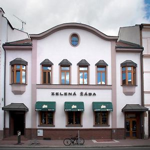 Hotel Penzion Zelená Žába Pardubice Exterior photo