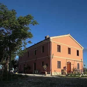 Apartmán Quindici Alberi Serra deʼ Conti Exterior photo