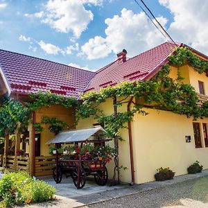 Hotel Casa Andreea Sucevita Exterior photo