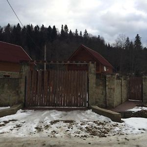 Guest House In Carpathians Mihove Exterior photo