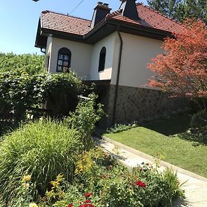 Vila Wine & Nature & Tour Zgornji Leskovec Exterior photo