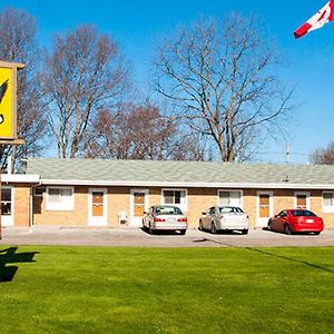 Adams Golden Acres Motel Kingsville Exterior photo