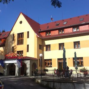 Horský hotel Excelsior Horní Lomná Exterior photo