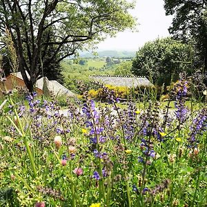 Bed and Breakfast Domaine Des Marequiers Chambre Melilot Saint-Germain-du-Teil Exterior photo