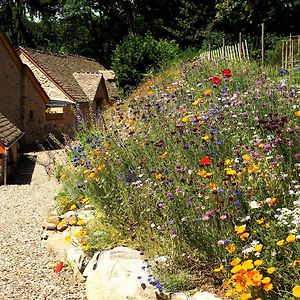 Bed and Breakfast Domaine Des Marequiers Chambre Alchemille Saint-Germain-du-Teil Exterior photo