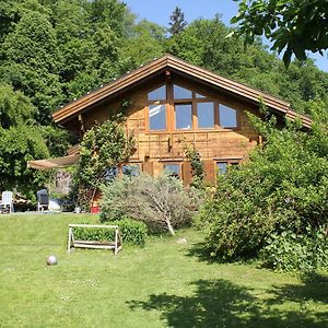 Holzhaus Im Gruenen B&B Pasov Exterior photo