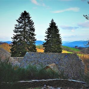 Bed and Breakfast Domaine Des Marequiers Chambre Silene Saint-Germain-du-Teil Exterior photo