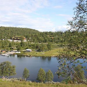 Hotel Lemonsjo Fjellstue Og Hyttegrend Randsverk Exterior photo