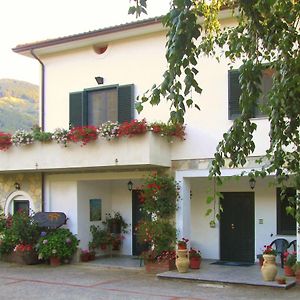 B&B Sole Del Pollino Rotonda Exterior photo