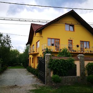 Hotel Pensiunea Ramona Cărpinişu Exterior photo