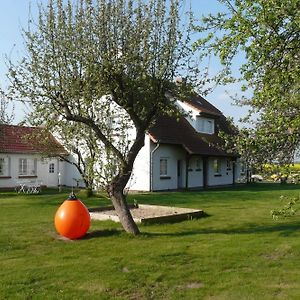 Hotel Pension Schwalbenhof Klausdorf  Exterior photo