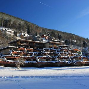 Které jsou ty nejlepší hotely v okolí atrakce Baumwipfelpfad Schwarzwald? Bad Wildbad Exterior photo