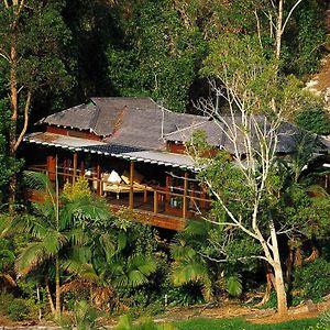 Vila Wollumbin Palms Rainforest Retreat Uki Exterior photo