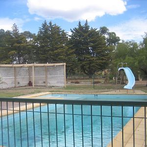 Golden Hills Motel Bendigo Exterior photo