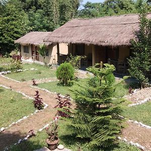 Chital Lodge Chitwan Exterior photo