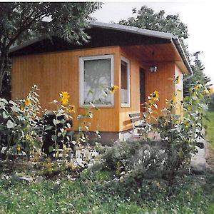 Vila Ferienhaus "Eierkuchen" Lindig Exterior photo