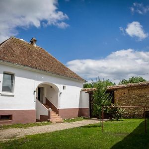 Penzion Casa Din Barcut Exterior photo