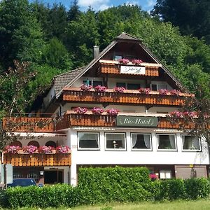 Decker'S Bio Hotel Zum Lamm Baiersbronn Exterior photo