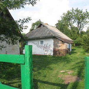 Vila Dibinecki Karpati Dybintsy Exterior photo