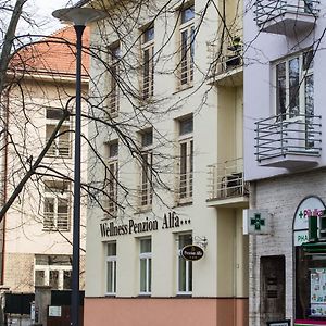 Hotel Penzion Alfa Poděbrady Exterior photo