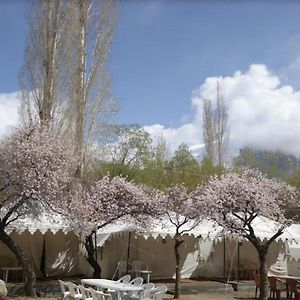 Royal Deluxe Camp & Resort, Hunder- Nubra Hundar Exterior photo