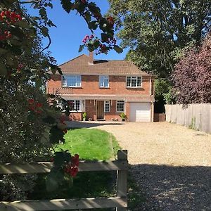 Barnfield Bed And Breakfast Downton  Exterior photo