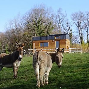 Bed and Breakfast La Tete Dans Les Etoiles Lompnieu Exterior photo