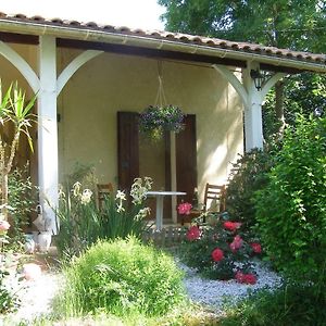 Apartmán Le Bord De L'Eau Studio Sainte-Terre Exterior photo