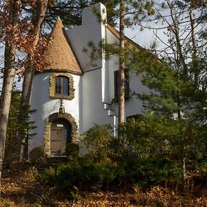 Vila Castle On Glen West Elmira Exterior photo