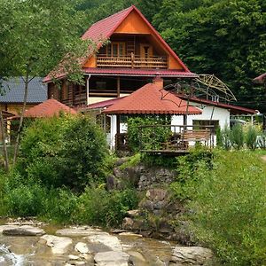 Hotel Yankovsky Dvir Poljana Exterior photo