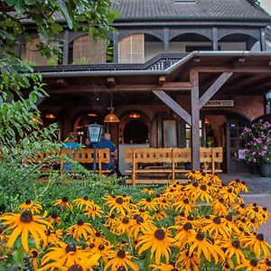 Bed and Breakfast Gesztenyes Zalakaros Exterior photo