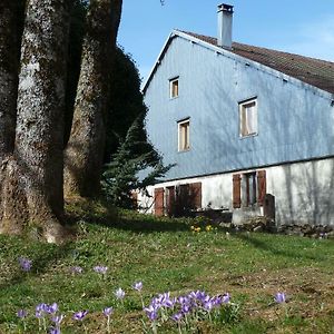 Bed and Breakfast La Fritillaire La Montagne  Exterior photo