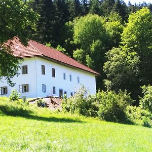 Apartmán Ferienhaus Herrnbauer Zaglau Exterior photo