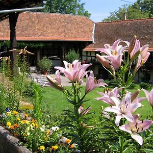 Apartmán Le Gite Des Ecureuils Schalkendorf Exterior photo