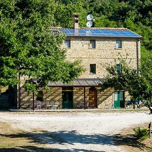 Vila Agriturismo Foglie Gubbio Exterior photo