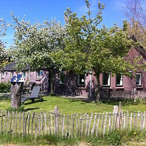 Vila Elferink Hoeve Woudenberg Exterior photo