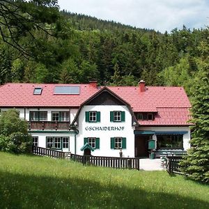 Apartmán Landhaus Gschaiderhof Puchberg am Schneeberg Exterior photo