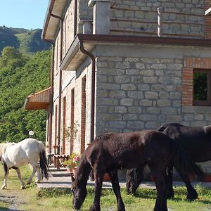 Vila Agriturismo Il Capitano Floresta Exterior photo